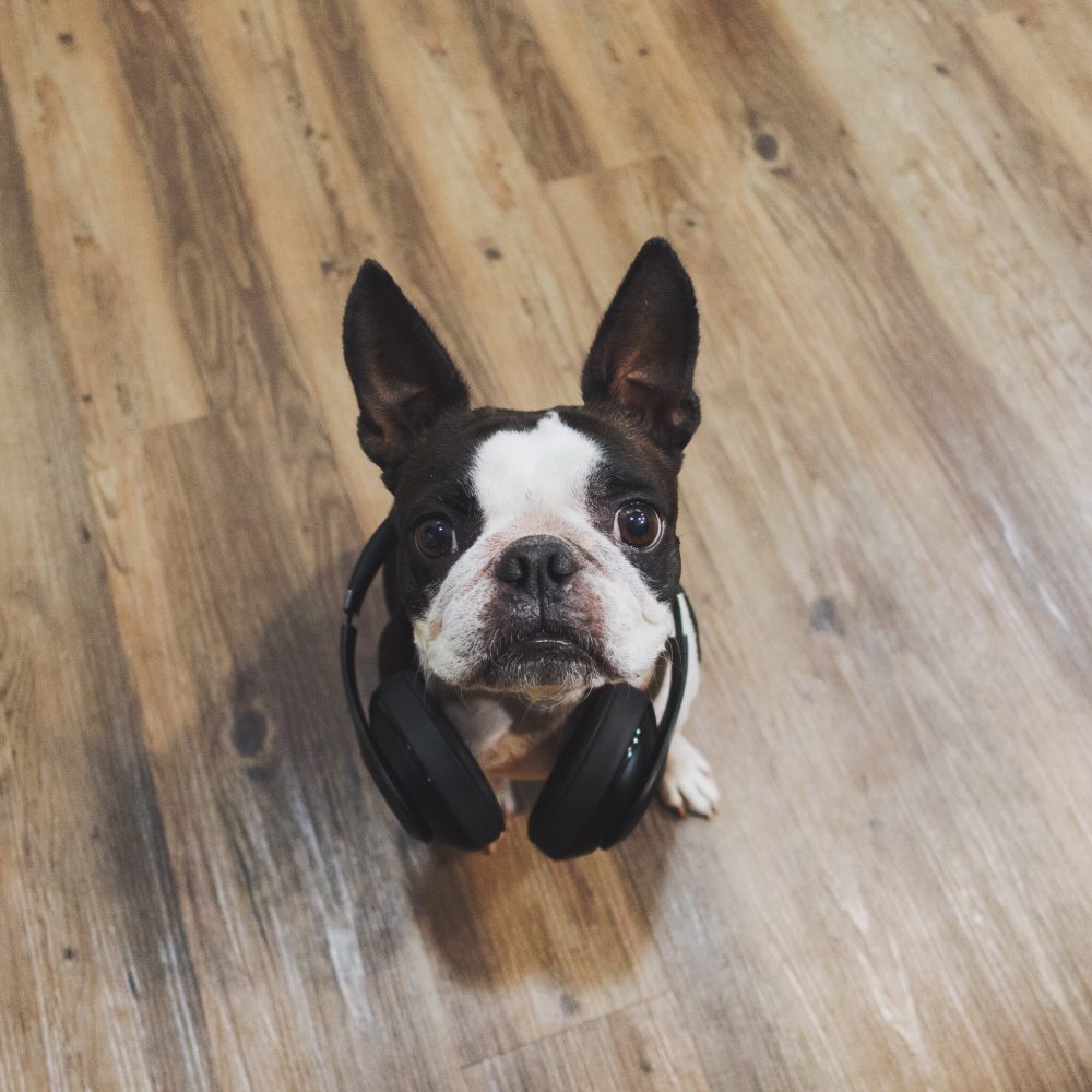 Processed with VSCOcam with a9 preset